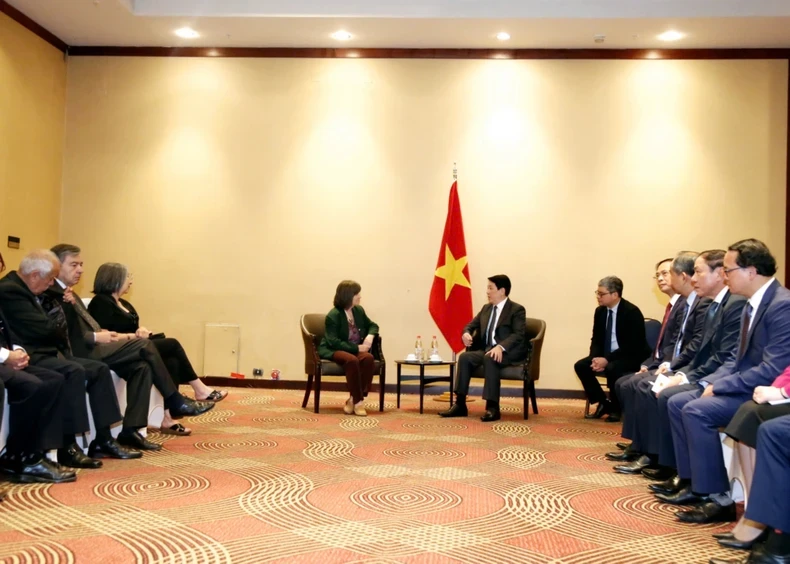 Chủ tịch nước Lương Cường tiếp đoàn Viện Văn hóa Hữu nghị Chile – Việt Nam ảnh 1