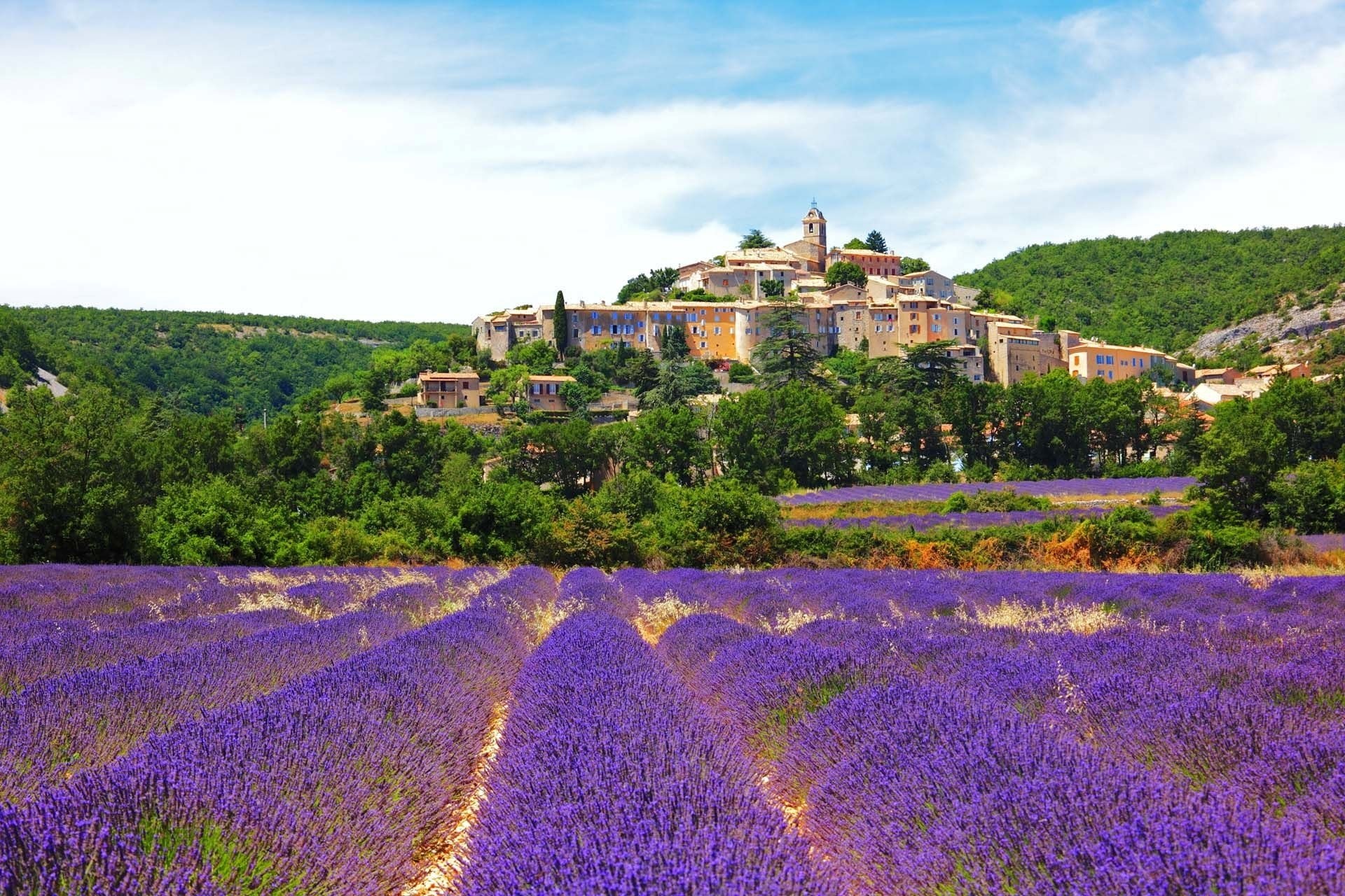 provence-phap.jpg