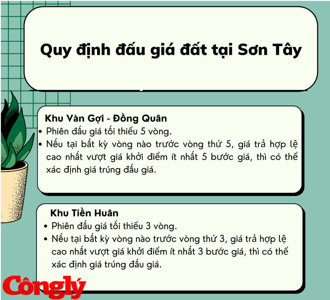 dau-gia-dat-ha-noi.png