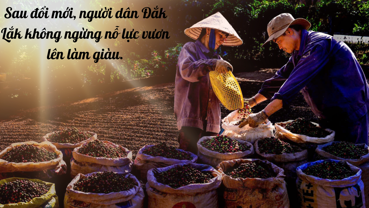 nguoi-dan-tang-gia-san-xuat.png