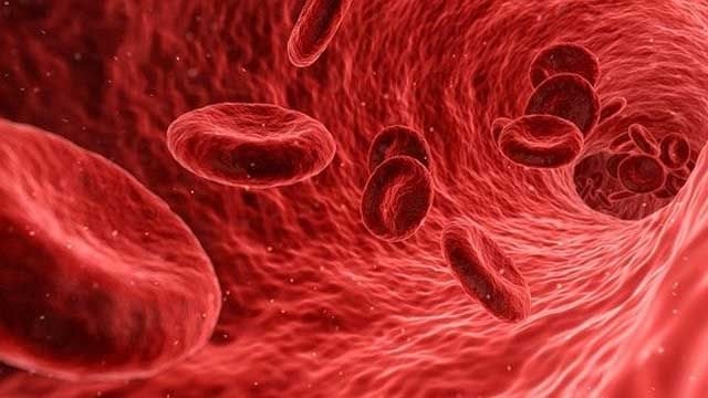 1-thalassemia.jpg