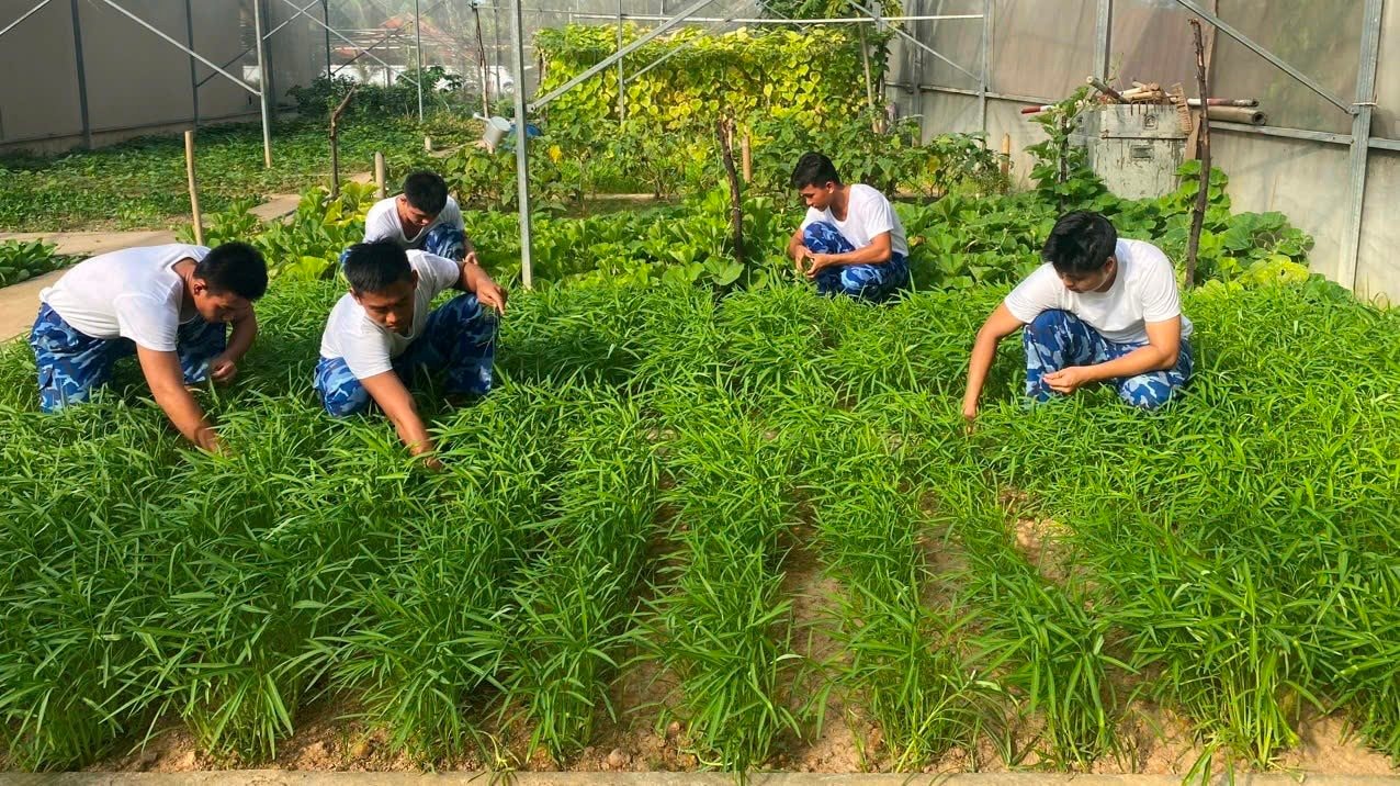can-bo-chien-si-hai-doi-422-hai-doan-42-cham-soc-rau-xanh.jpeg