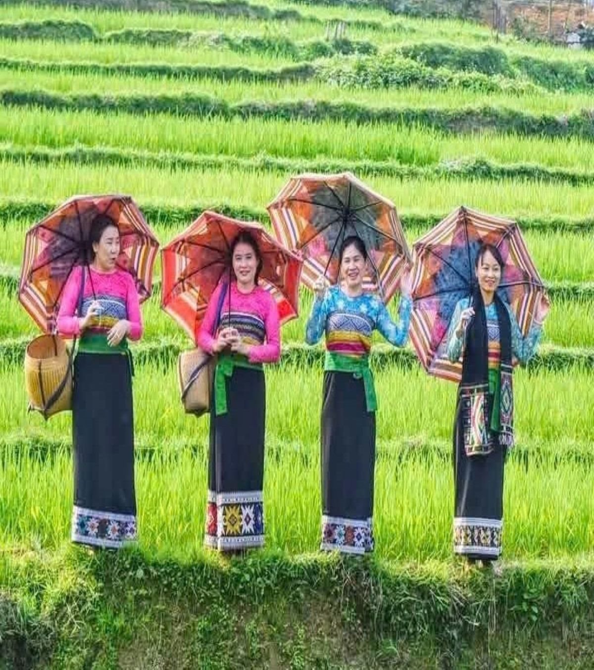 datnguoi.jpg