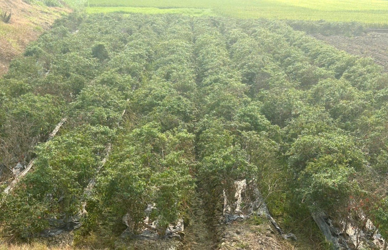 huongdan.jpg