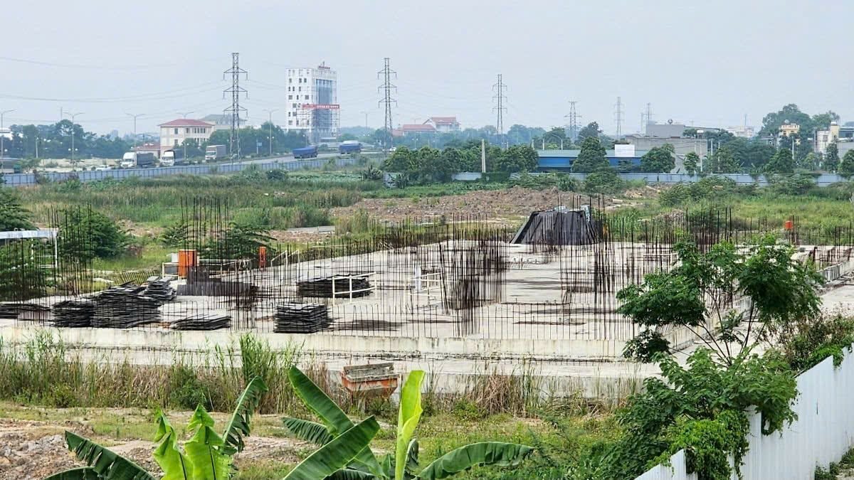 amc1quangthanh.jpg
