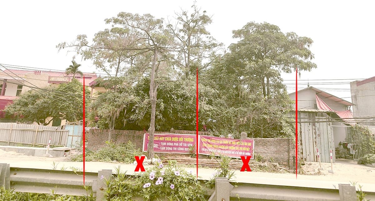 doc-nghia-luong-tai3.jpg