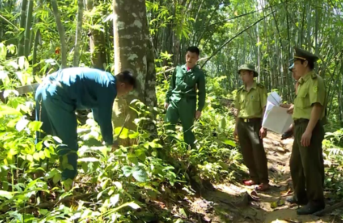 kiemtrarung.png
