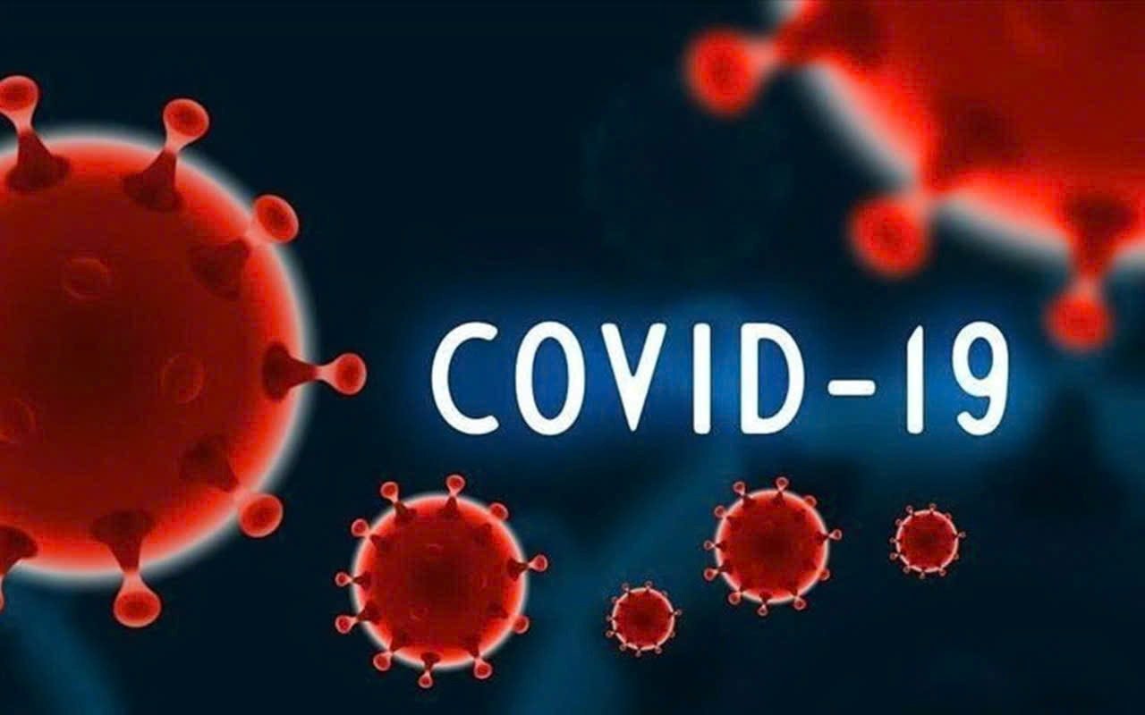 covid-19.jpg