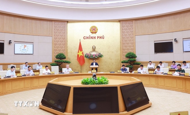 ttxvn-thu-tuong-chu-tri-hop-chinh-phu-chuyen-de-ve-xay-dung-phap-luat-thang-5-nam-2025-8046739-3.jpg