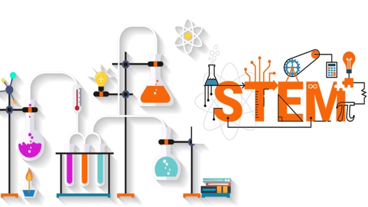 stem.jpg