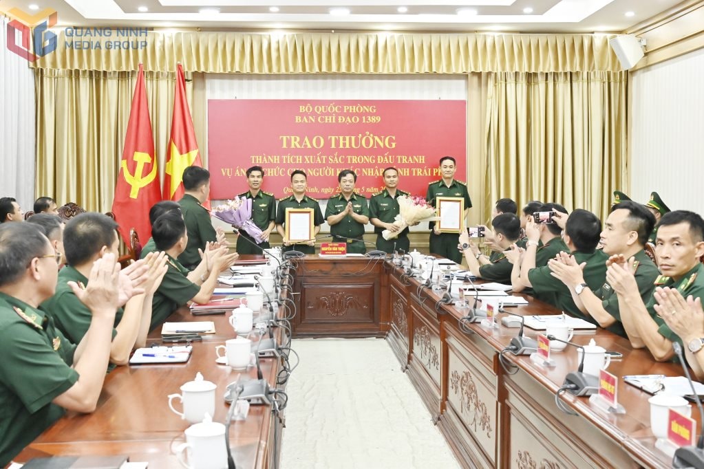 qn2.jpg
