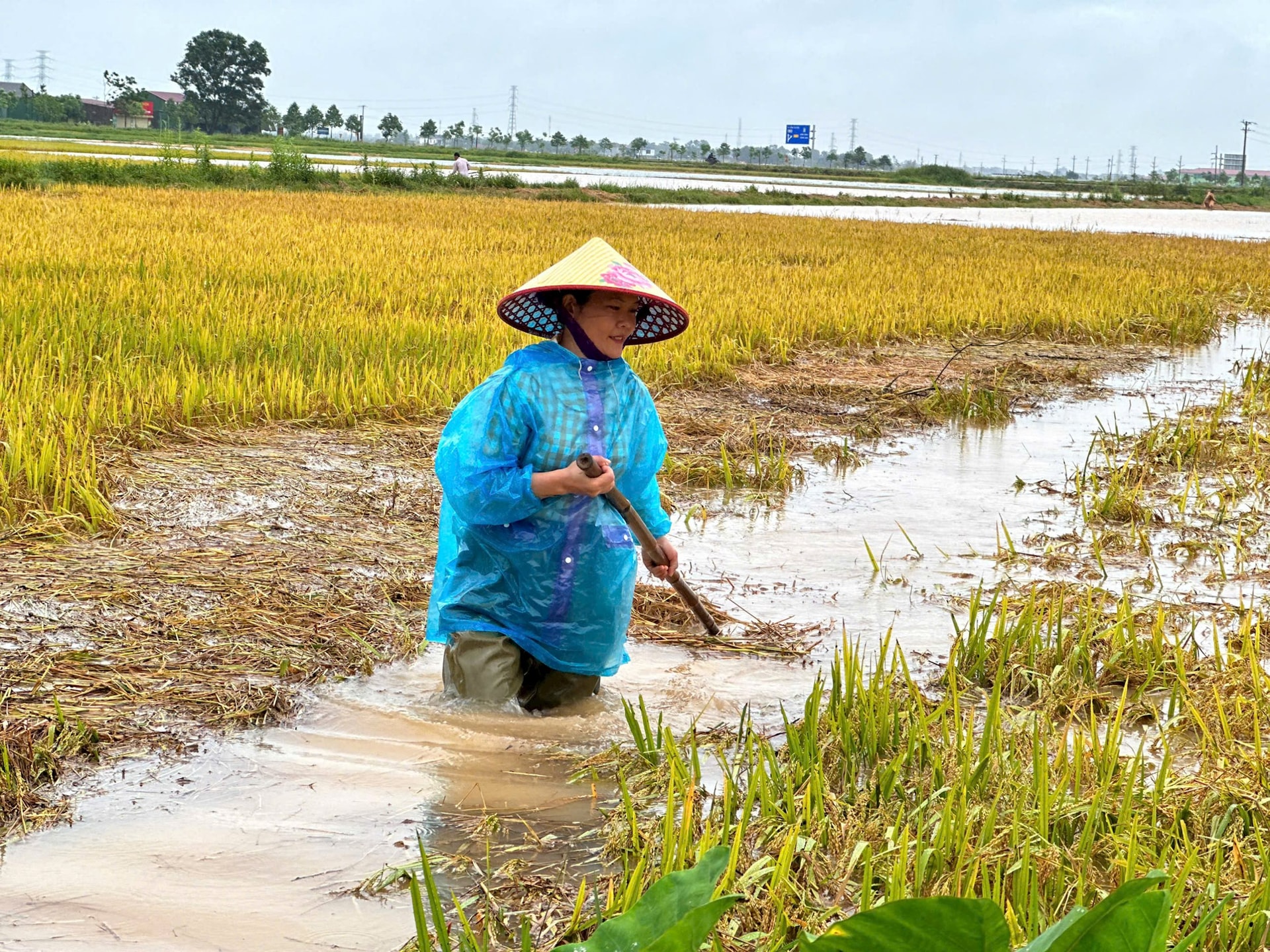 thiet_hai_do_mua_lon_3.jpg