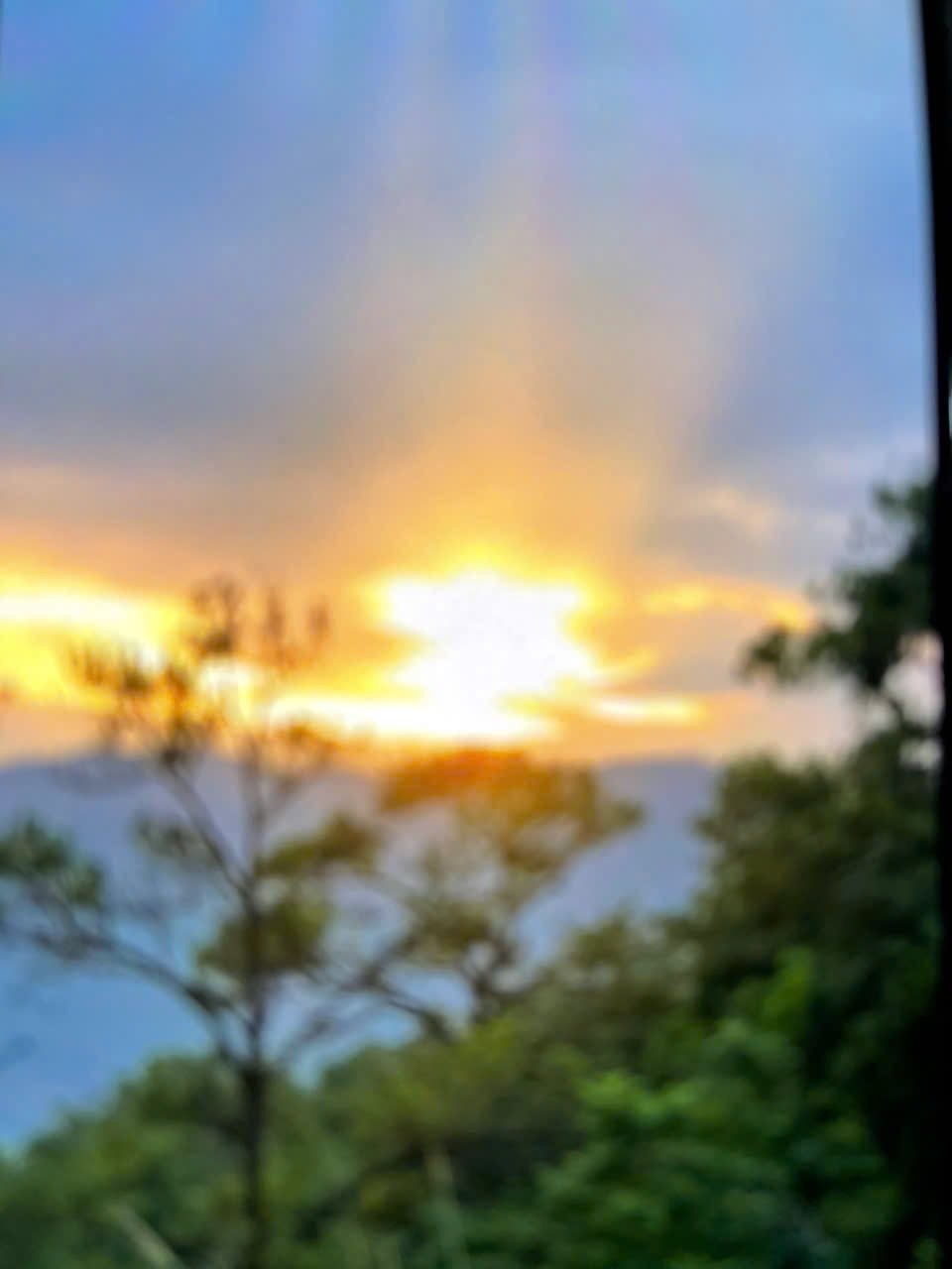 img_1266.jpeg