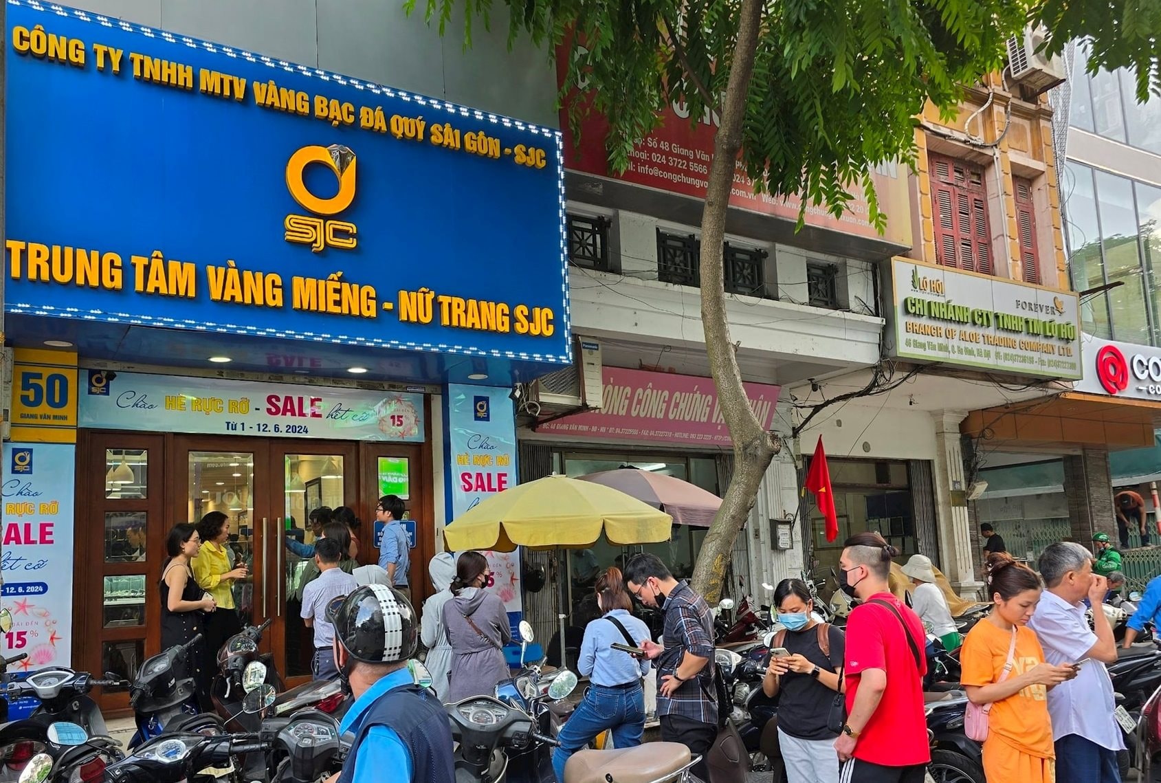 vang-sjc.jpg