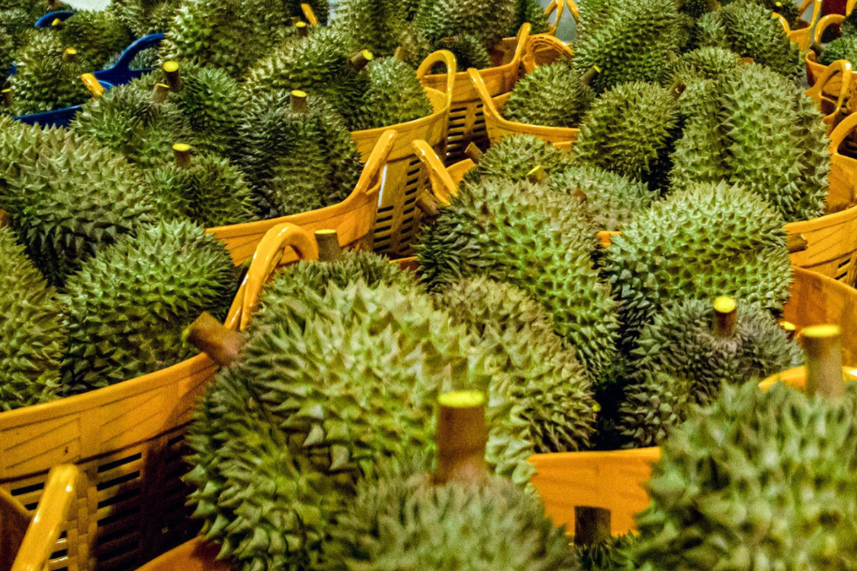 trai-cay-chinh-vu-nhung-rot-gia-anh-minh-hoa-..png