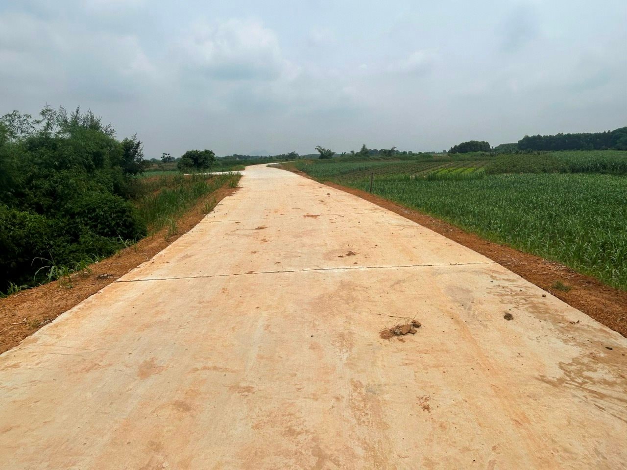 betong.jpg