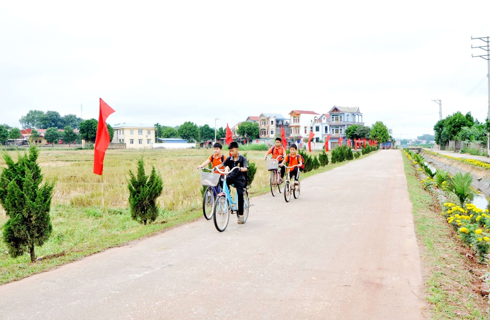 phubinh.jpg