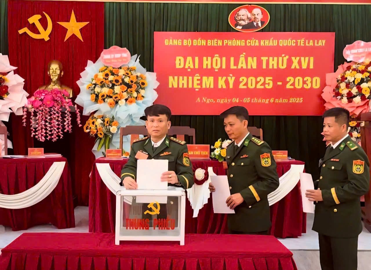 la-lay-dai-hoi-3.jpg