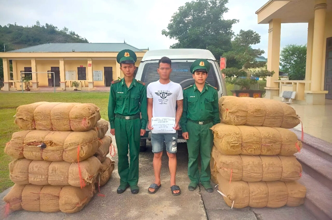 thuoc-la-lau.png