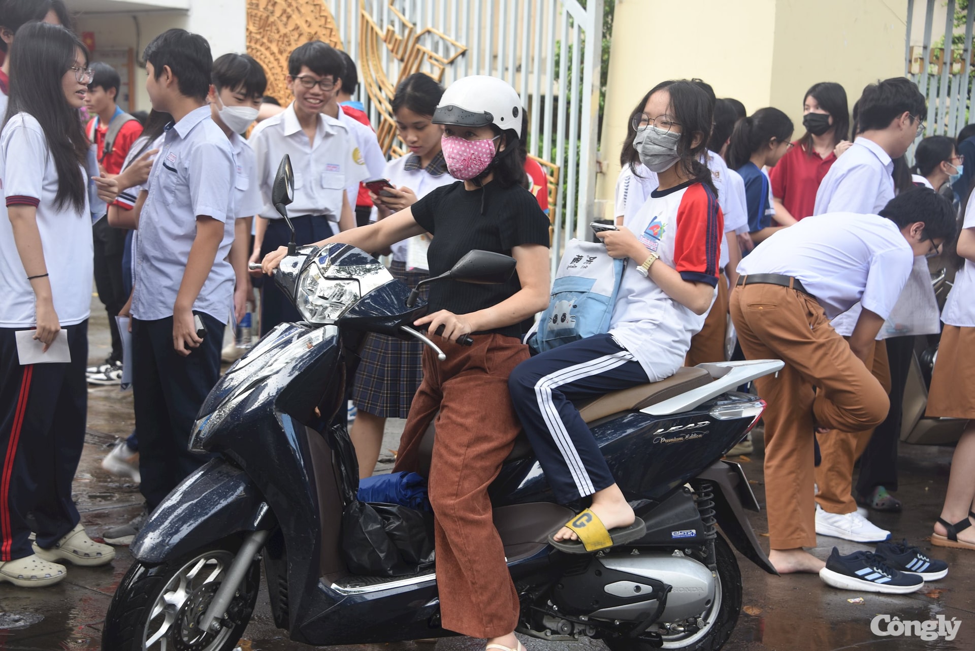 W_dsc_7795.jpg