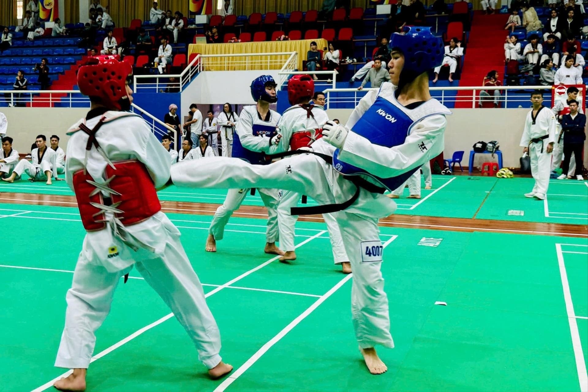 festival-taekwondo-ha-noi.jpg