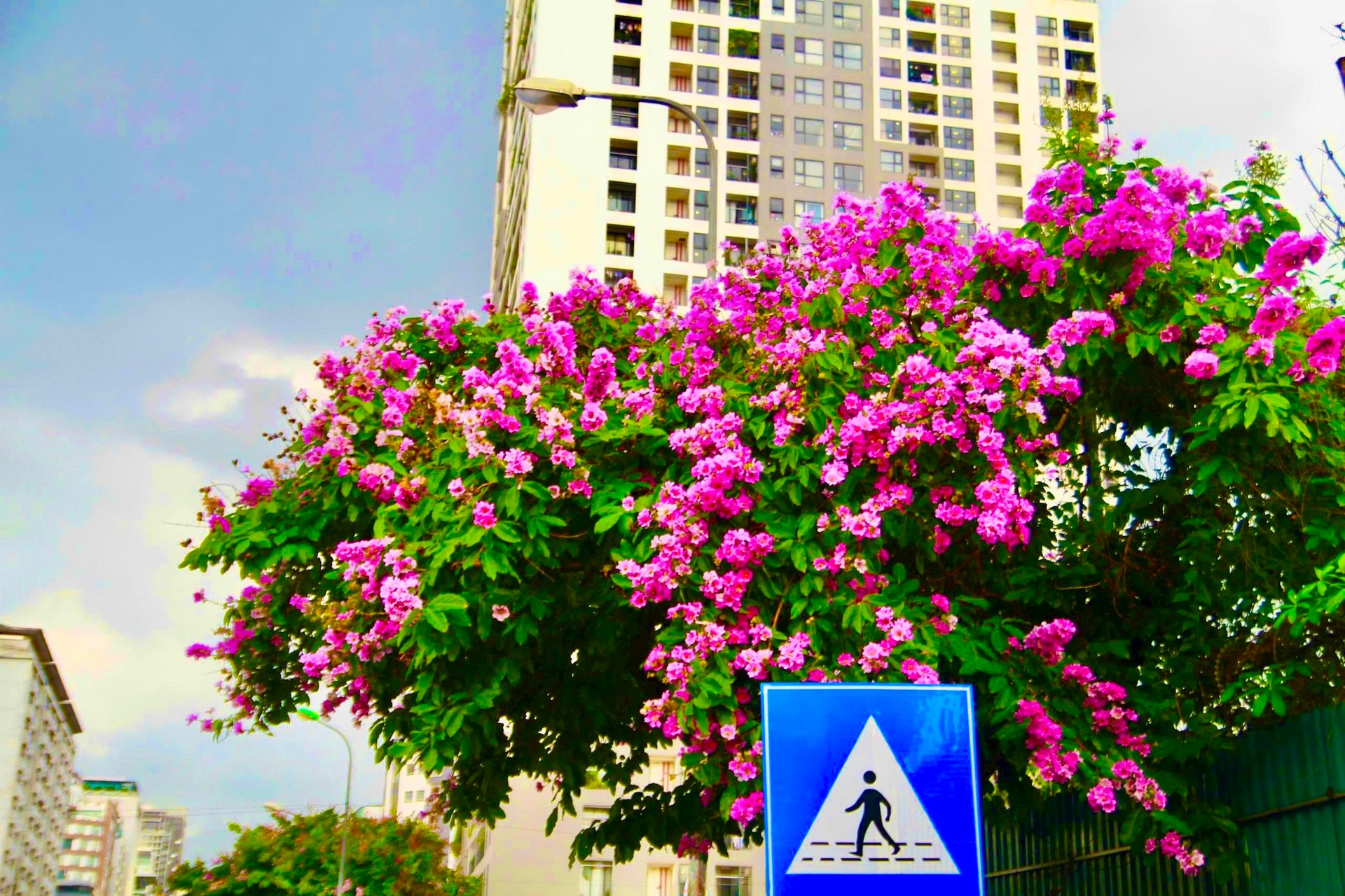 img_8791.jpeg