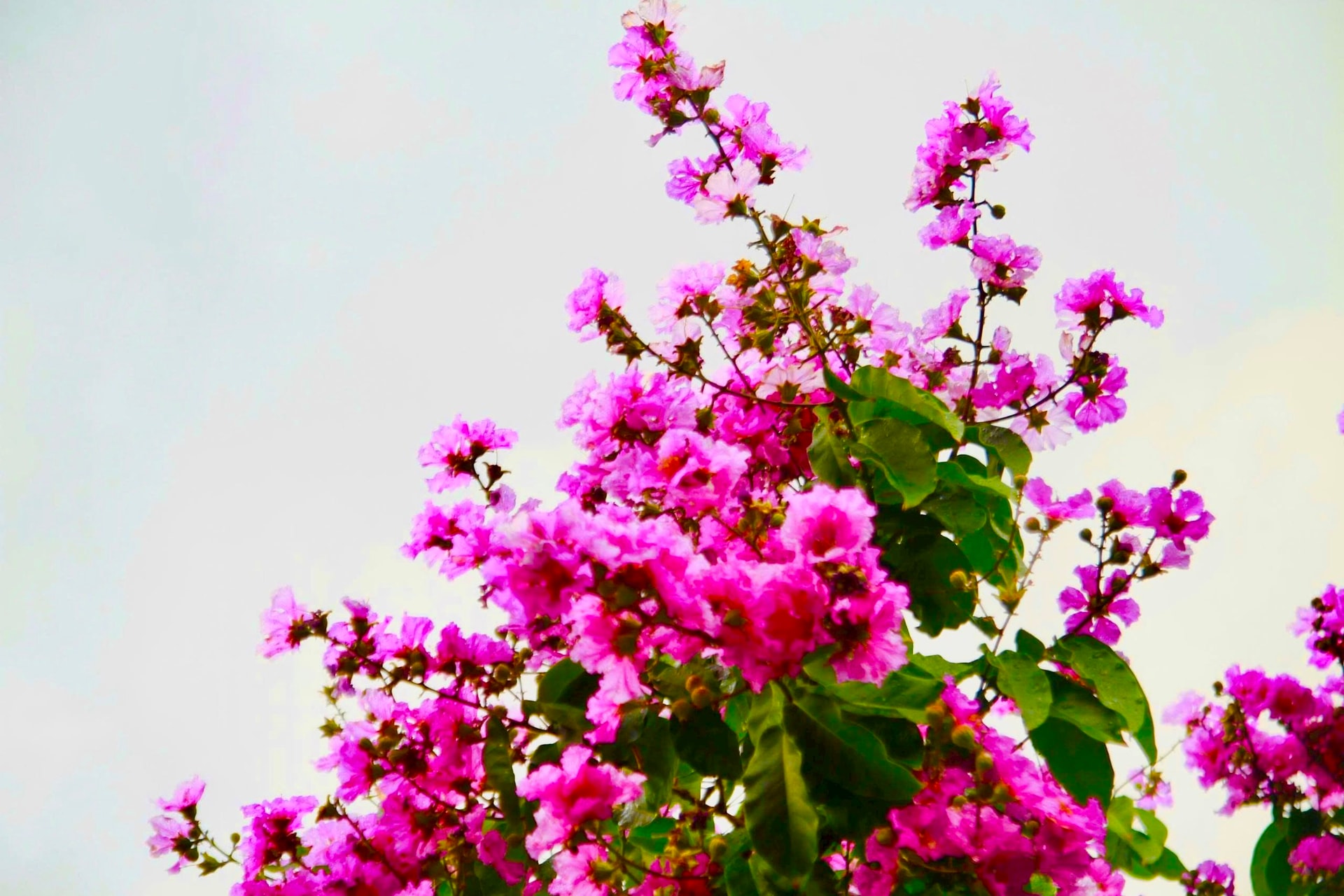 img_8792.jpeg