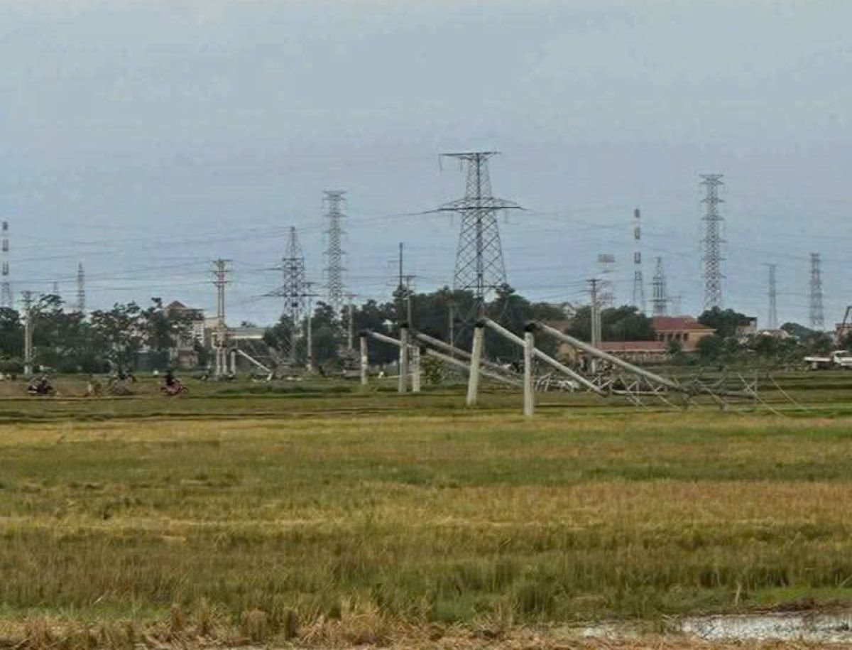 cotdien.jpg