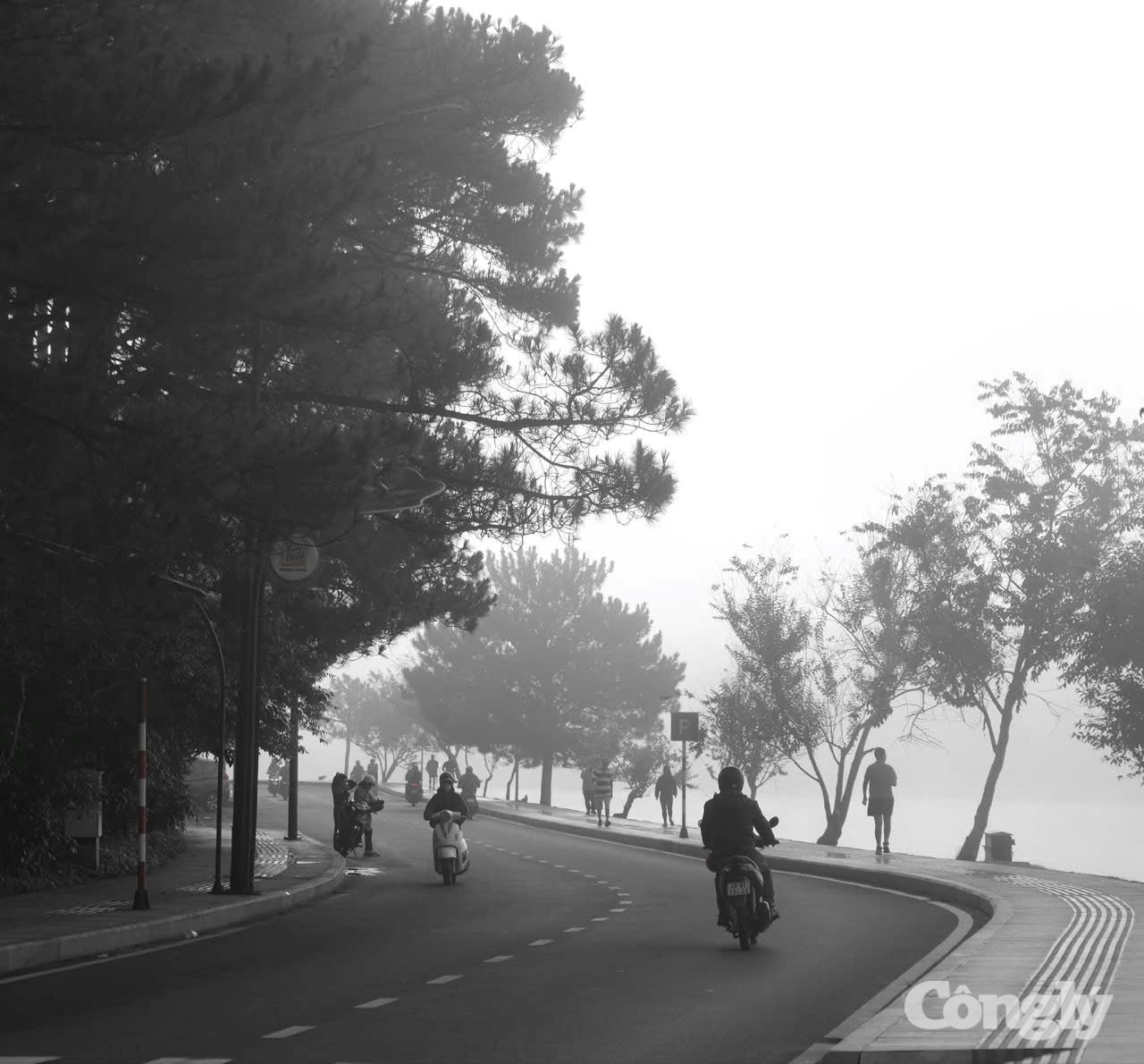 W_z6716172717848_4082aec25cf533712129afea348384e1.jpg