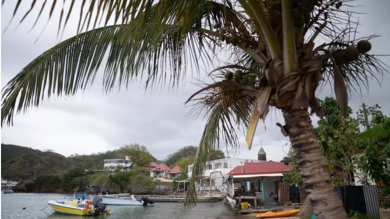 dao-guadeloupe.jpeg