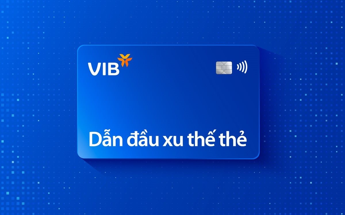 vib3.jpg