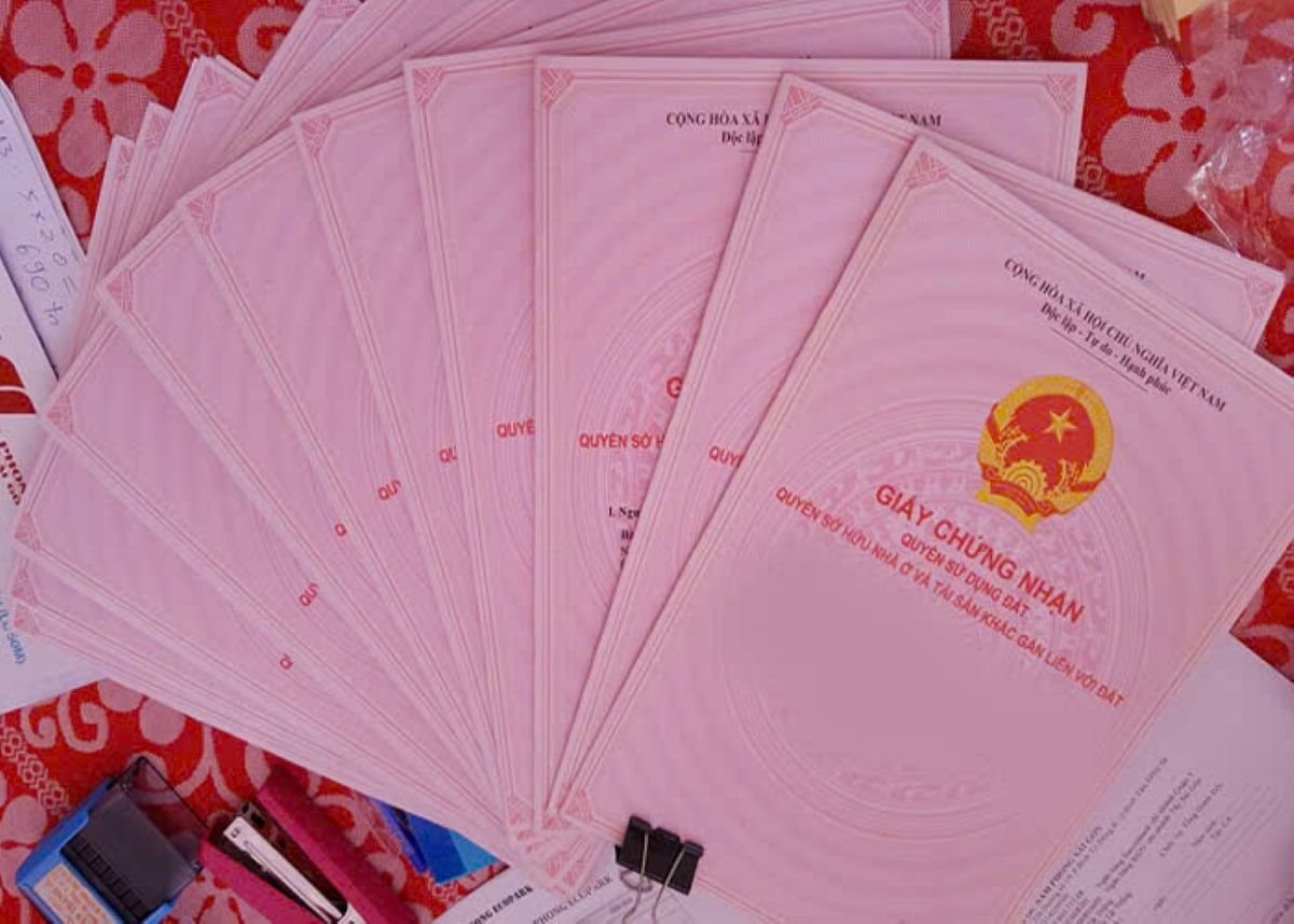 sohong.jpg