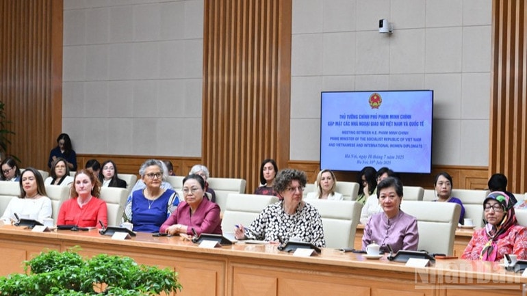 ndo_br_anh-5-1536.jpg