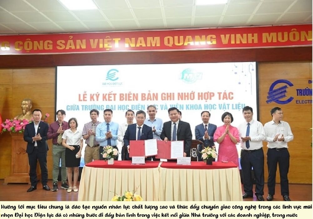 ai-dh-dl-bcl-5.jpg