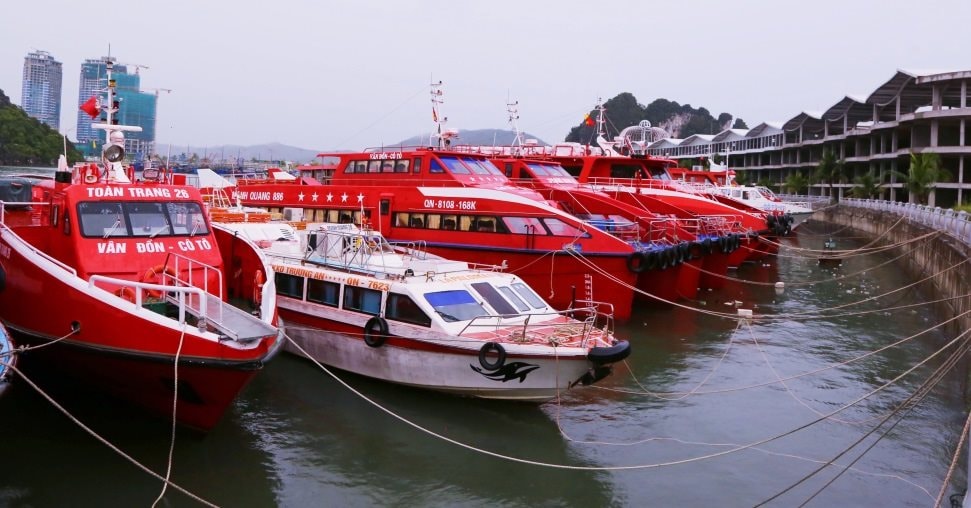 qninh.jpg