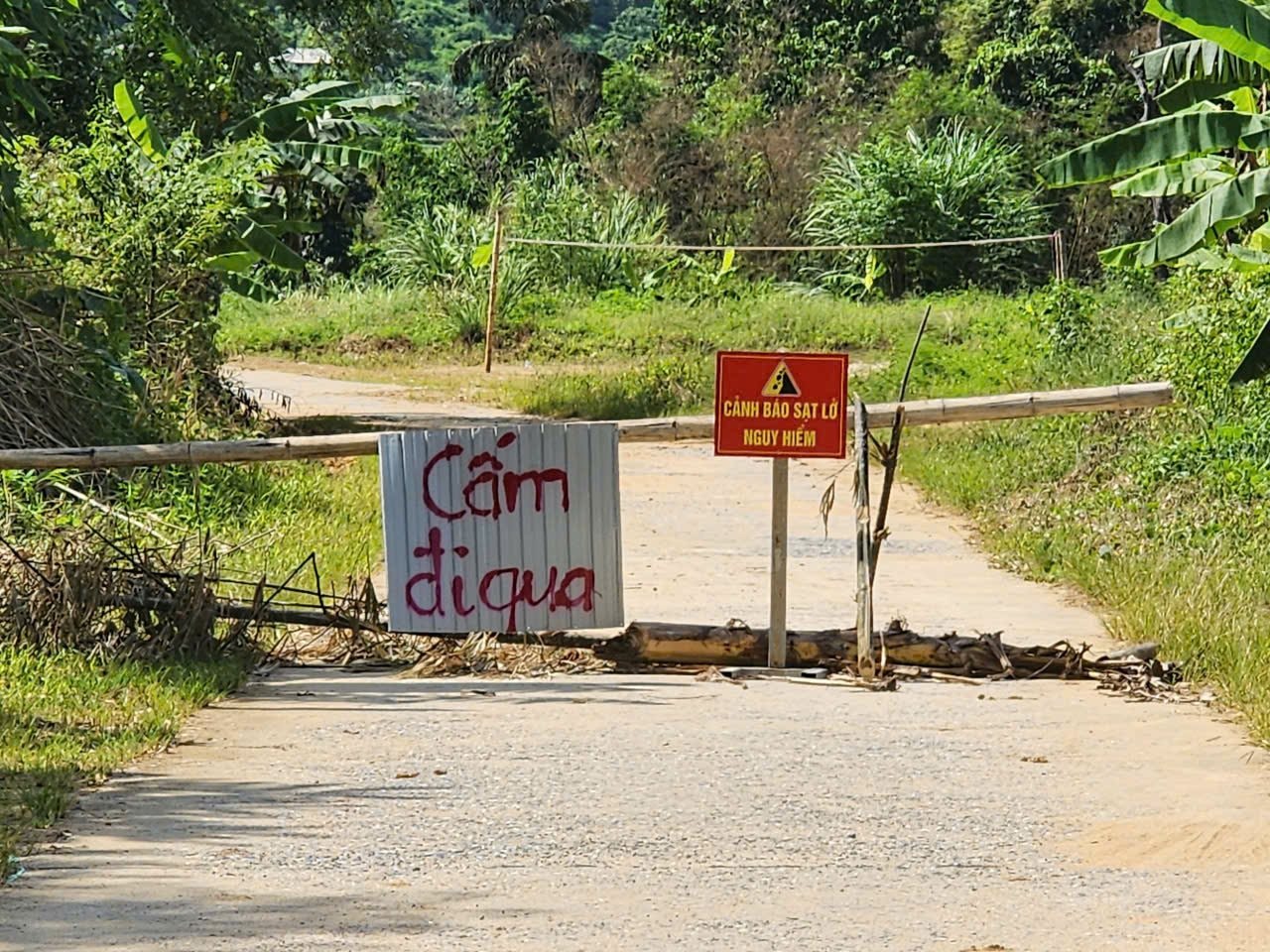 canhbao.jpg