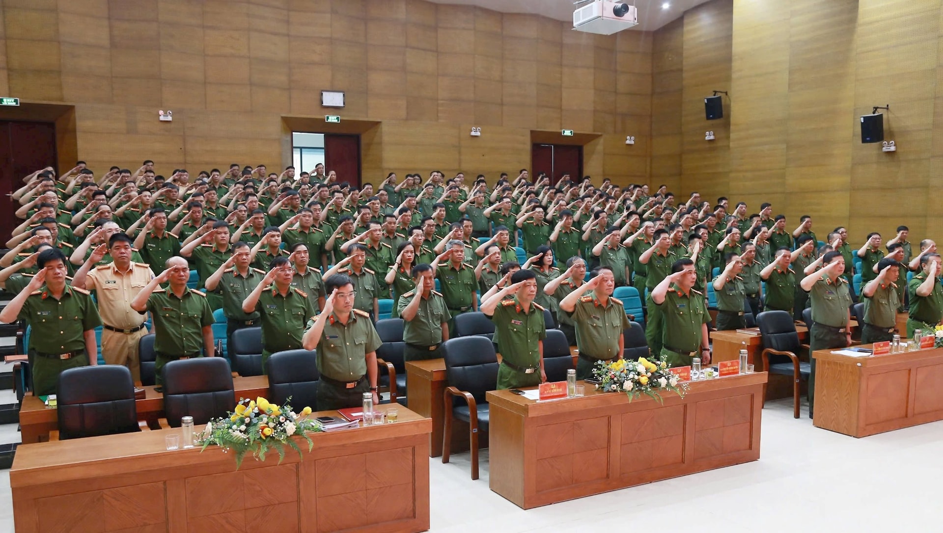 ca-ls-1.jpg