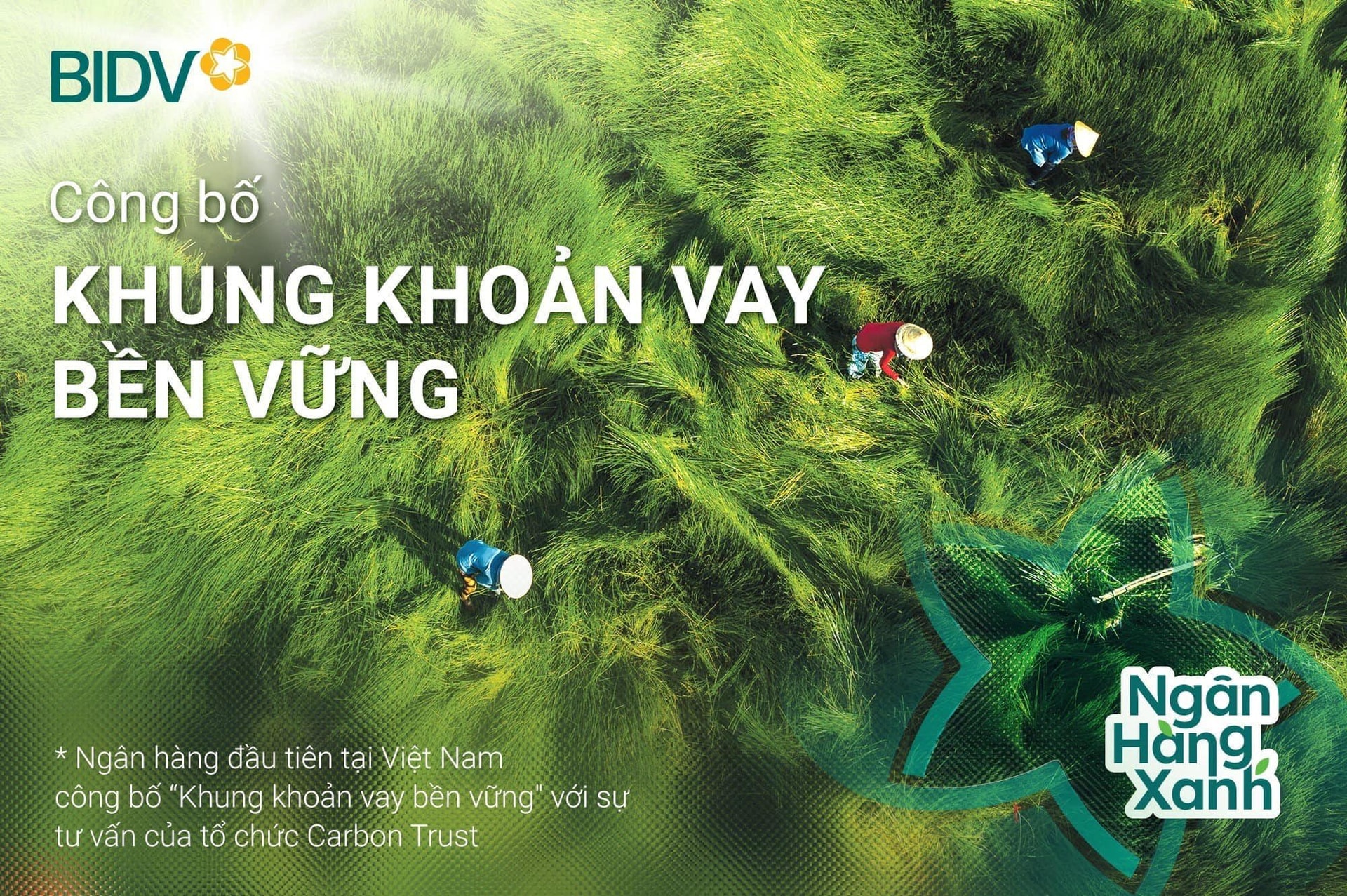 bidv-khung-khoan-vay-ben-vung.jpg