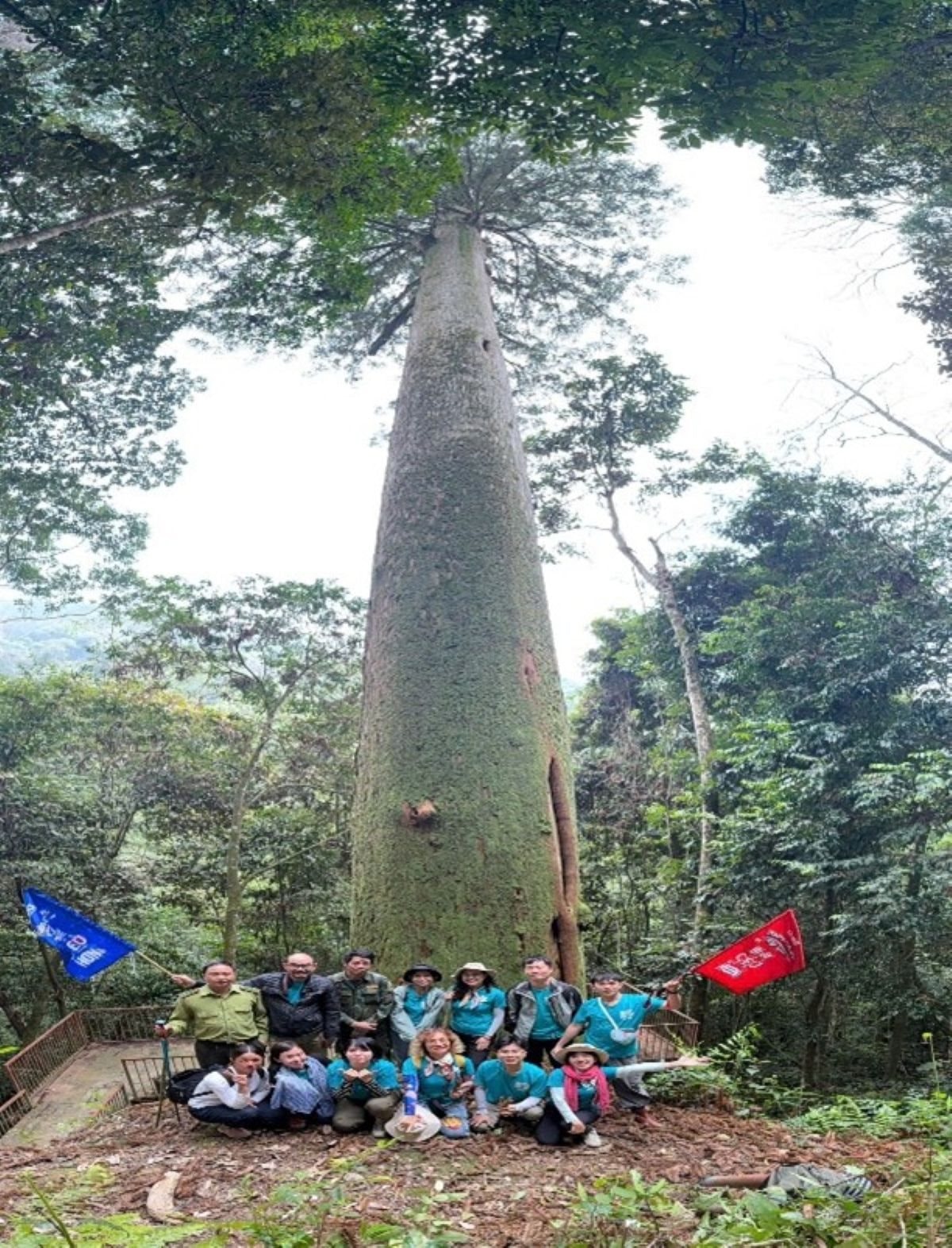 caydisan.jpg