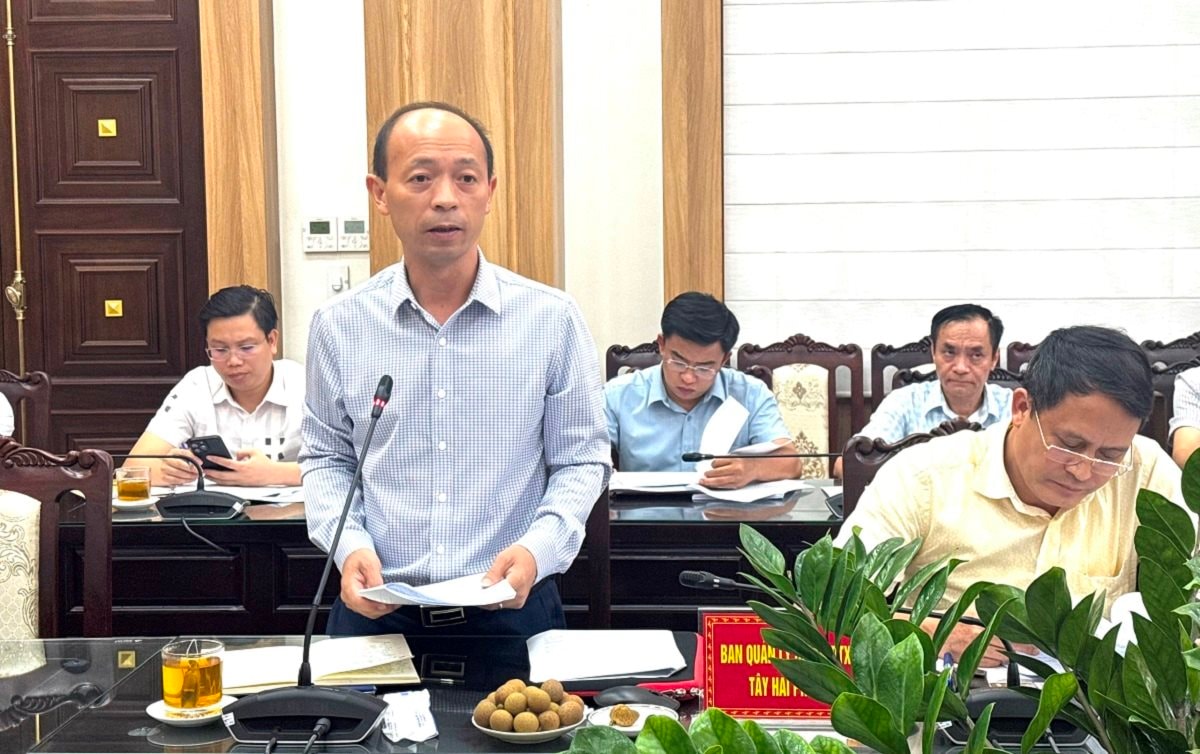 ban-quan-ly-du-an-dau-tu-xay-dung-tay-hai-phong.jpg