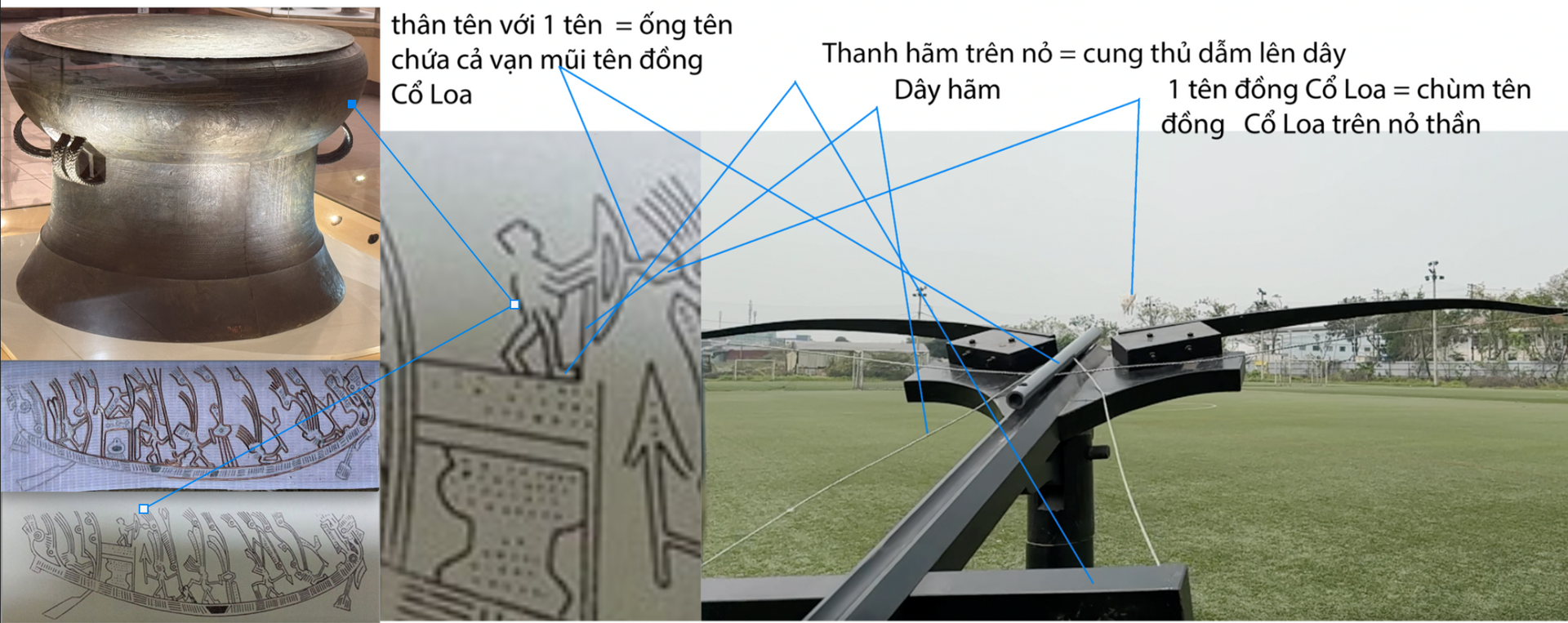 coloa5.png