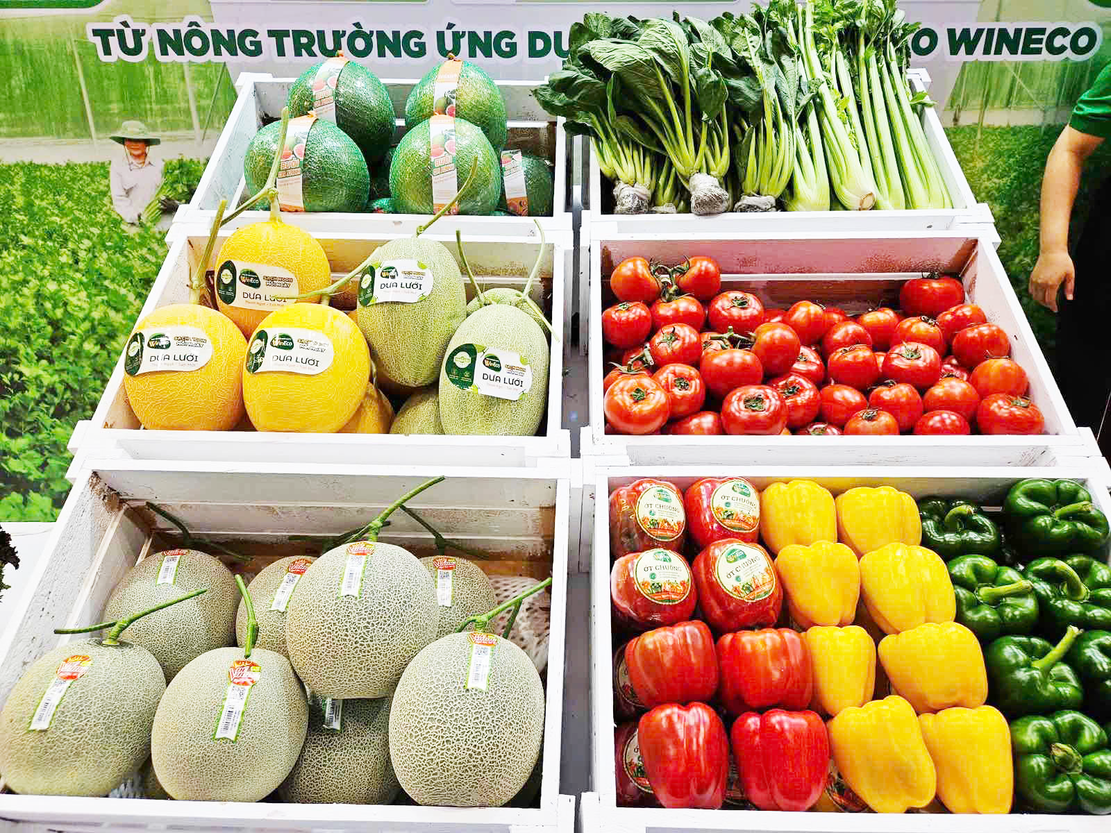 rau-cu-qua-tuoi-sach-duoc-trung-bay-bat-mat.png