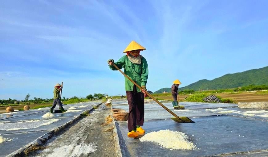 chi-con-nguoi-cao-tuoi-lam-viec-o-lang-nghe-lam-muoi20250725094332(1).jpg