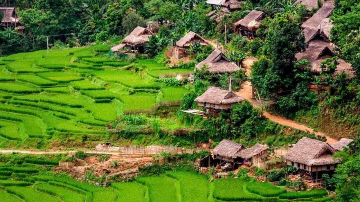 khomuong.jpg