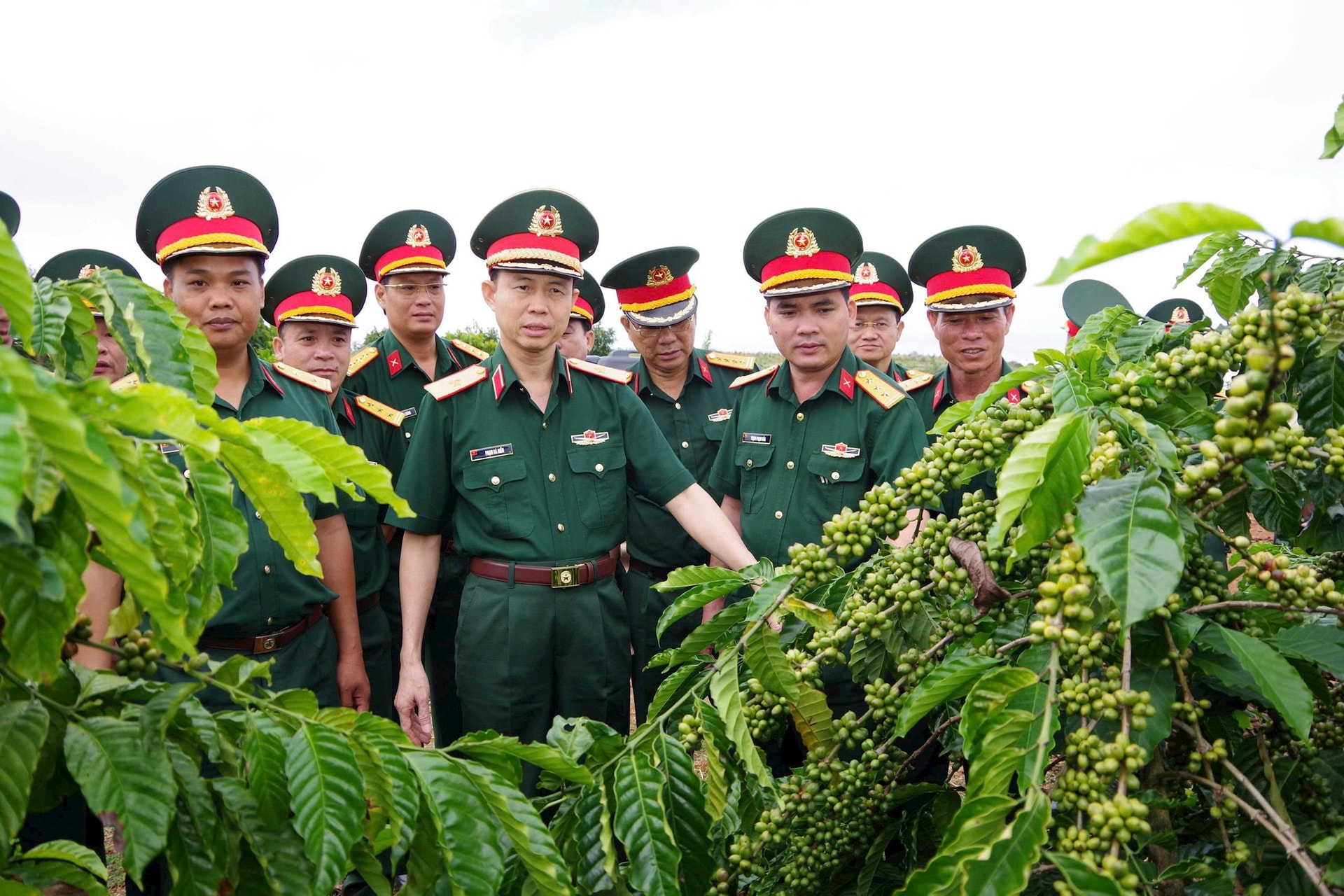thu-truong-bo-tu-lenh-binh-doan-kiem-tra-vuon-ca-phe-giao-khoan-cho-nguoi-lao-dong-nong-truong-726-tai-dia-ban-xa-quang-truc-tinh-lam-dong.jpg