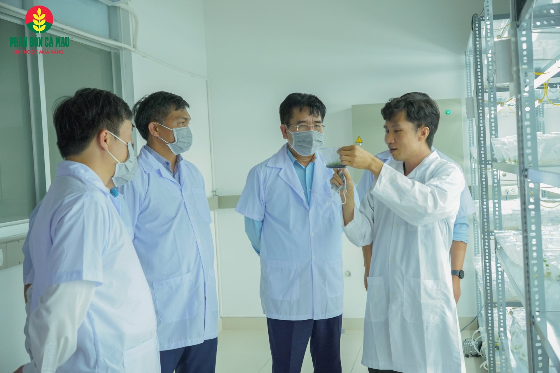 linh-vuc-r-d-la-mot-trong-nhung-mang-chien-luoc-duoc-pvcfc-uu-tien-dau-tu-manh-me-1.jpg
