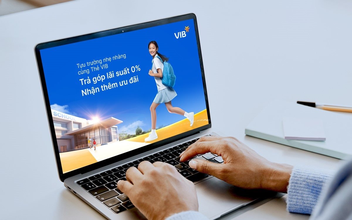 vib1.jpg