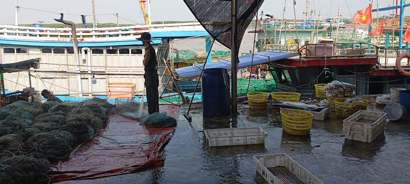 cang-hai-thinh1.jpg