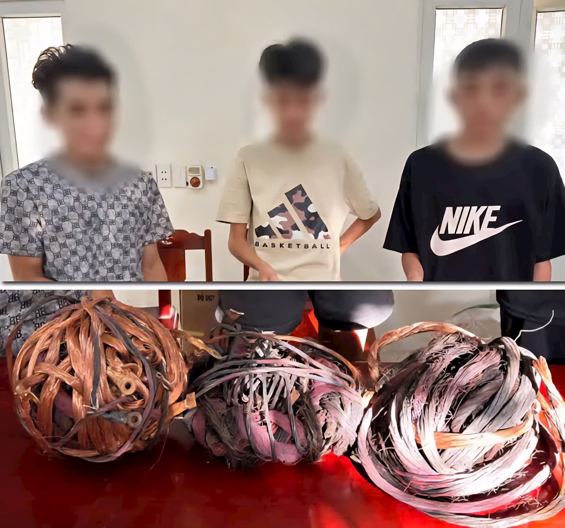 tromdaudien2.jpg