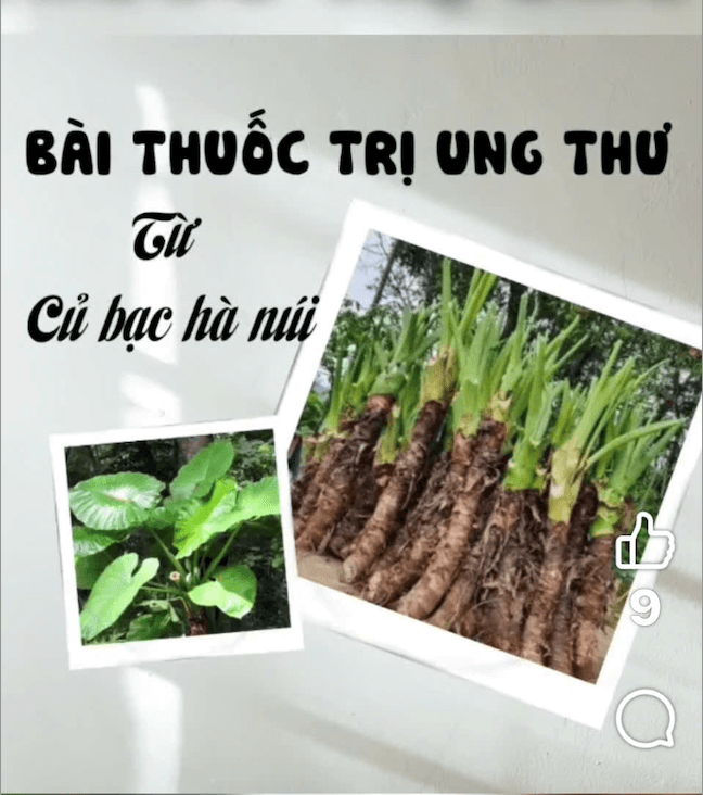 anh-man-hinh-2025-08-26-luc-22.32.02.png